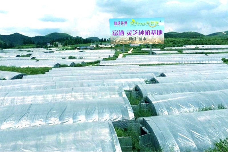 三號(hào)基地