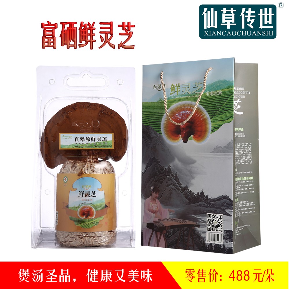 新鮮靈芝