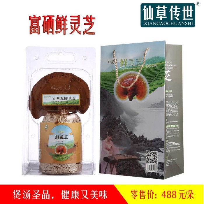 富硒鮮靈芝，給你全天候的養(yǎng)生護(hù)航！