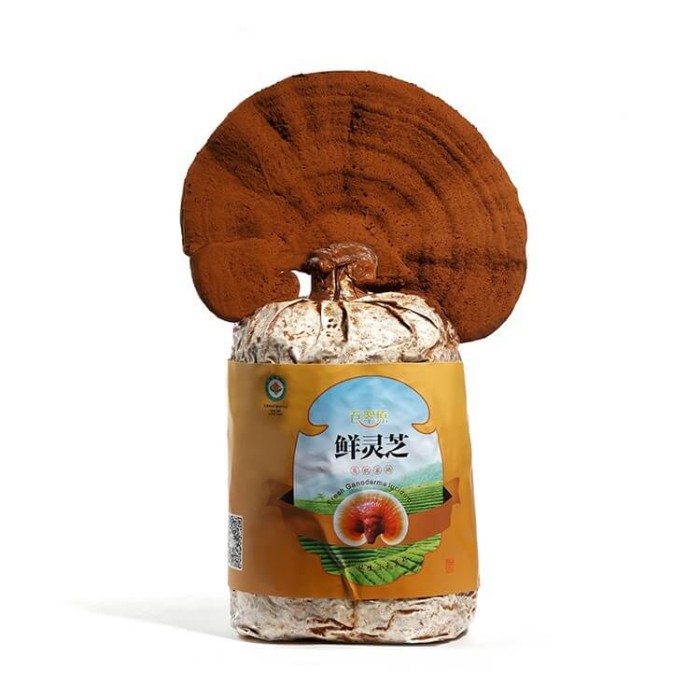 富硒鮮靈芝：帶給你健康的力量！
