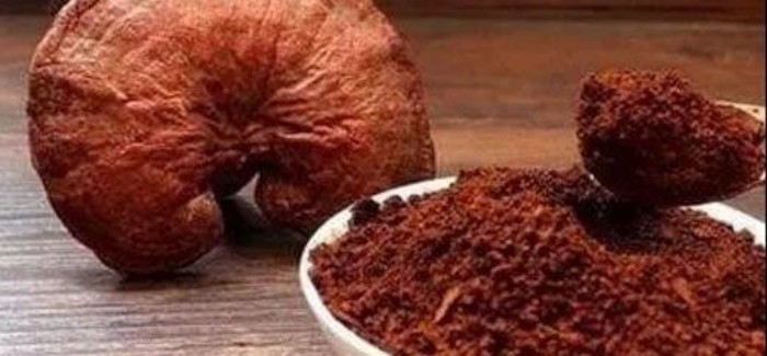 靈芝孢子油：珍稀營養(yǎng)，健康守護(hù)神