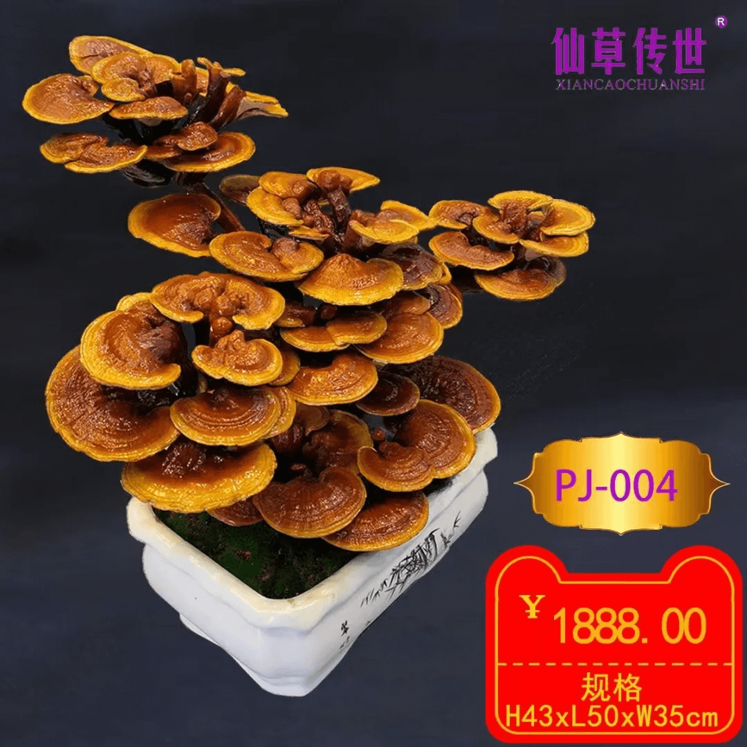微信圖片_20250401154304.png