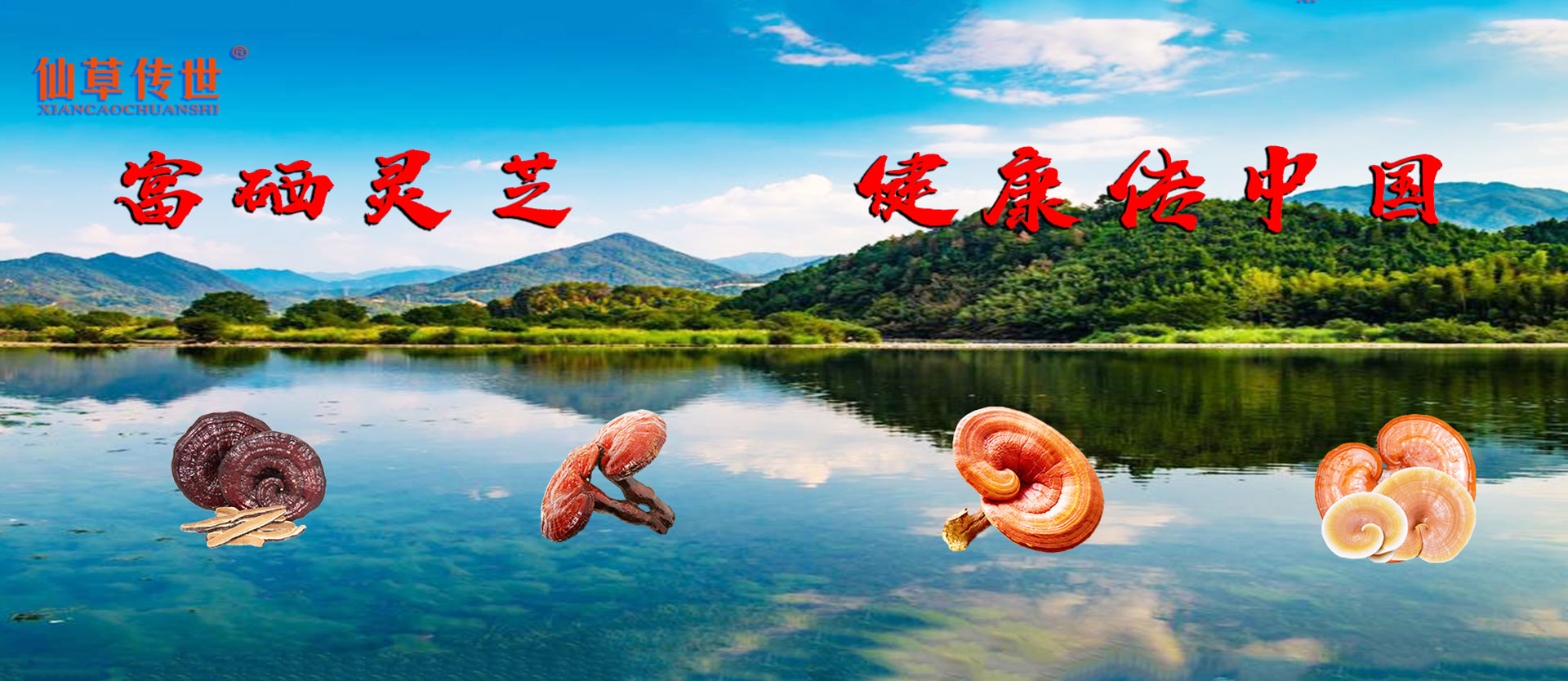 通欄圖片